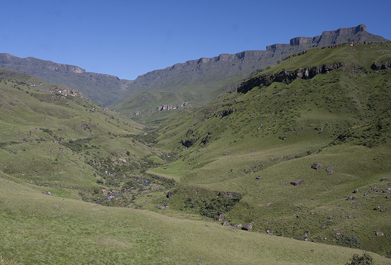 SPAM project – The Sani Pass Alien plants Monitoring Project
